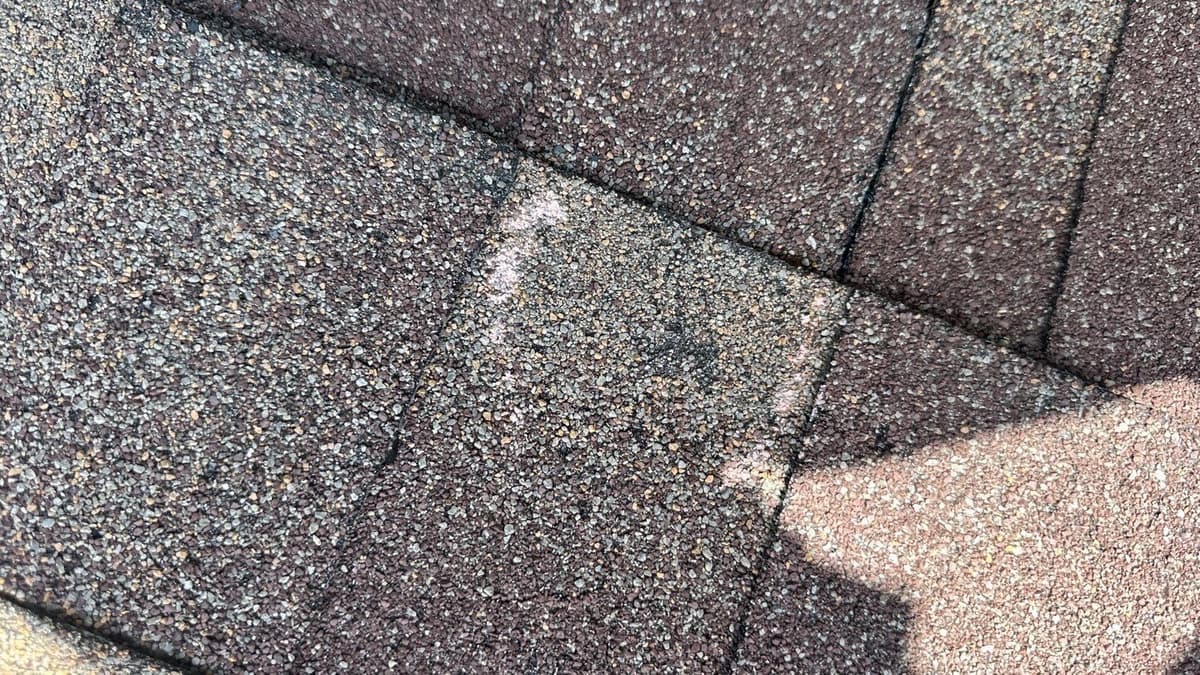 Chris's inspection work 7