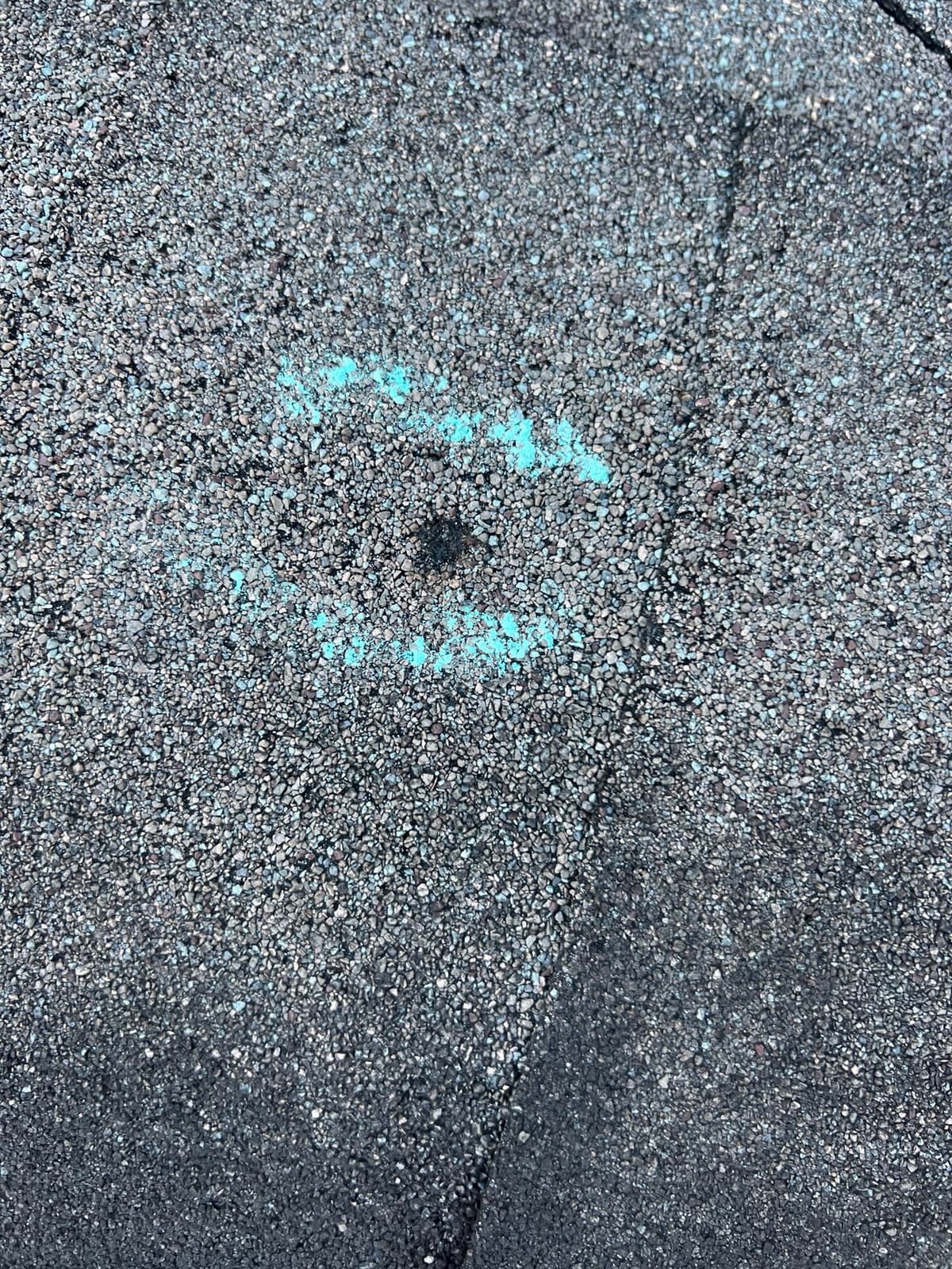 Daniel 's inspection work 8